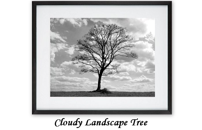 Cloudy Landscape Tree